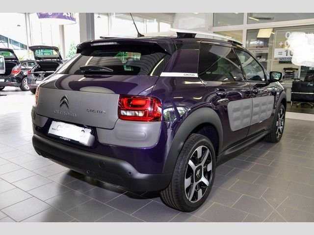 Citroën C4 Cactus Rip Curl