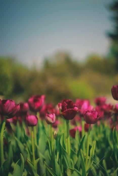 Широкоугольный репортажный Объектив Exaktar 35 mm f/ 2.8
