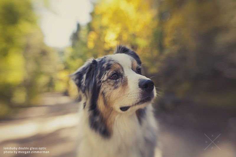 Набор Lensbaby Creative Effects System Kit (LBCESKC)