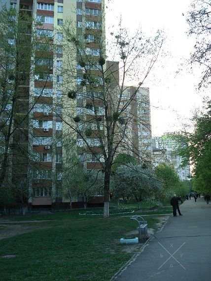Мельникова, хорошая большая комната, балкон, метро Лукьяновка Артема