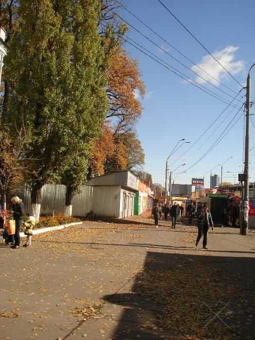 Кирпоноса, без хозяйки подселение, койко-место, метро Нивки, Щербакова