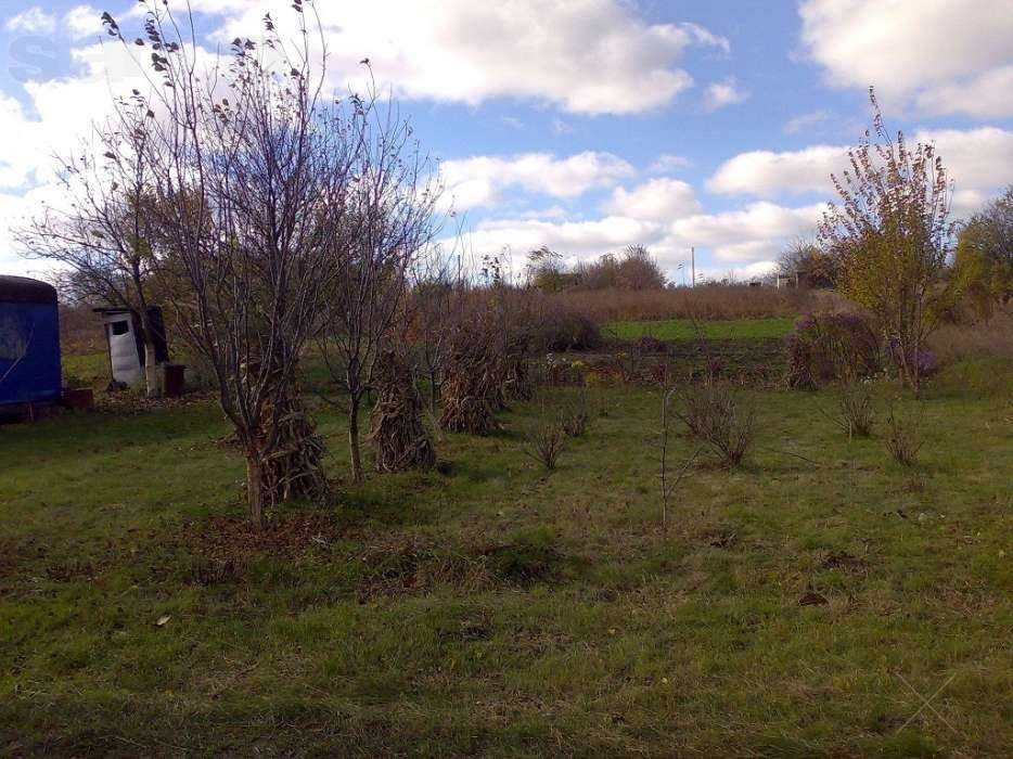 Паляничинцы, продаю свои два земельных участка