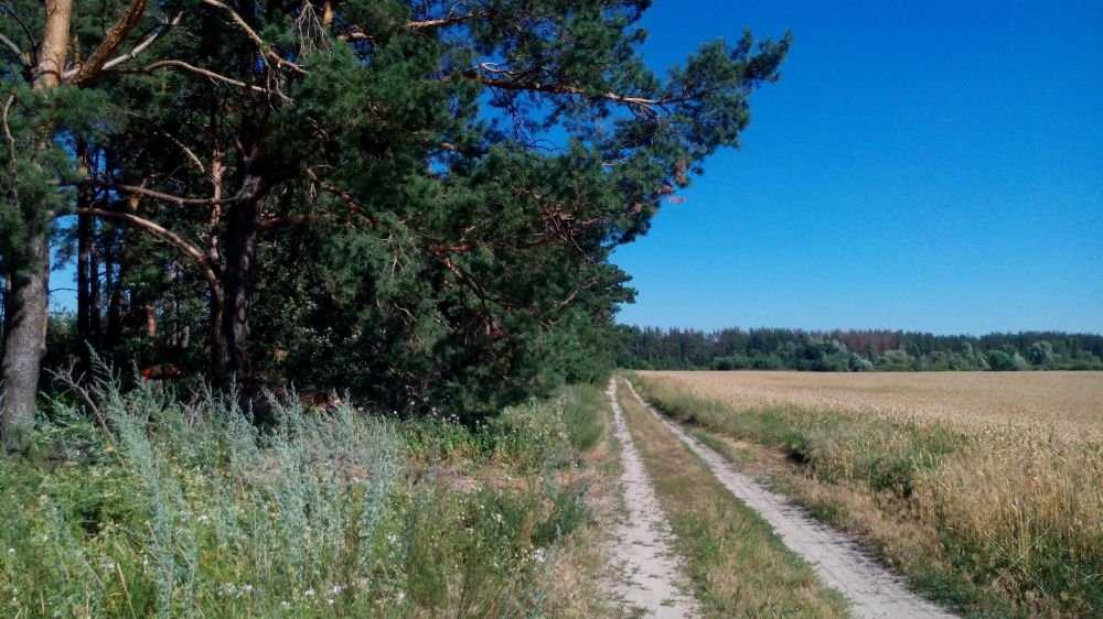 Продам земельные участки под застройку