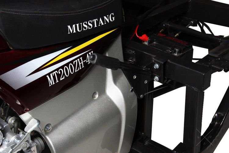 Мотоцикл (трицикл) грузовой Musstang MT200-4V (200 куб.см)