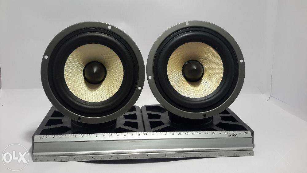 Динамики кевлар 10 OM 120 W (новые)