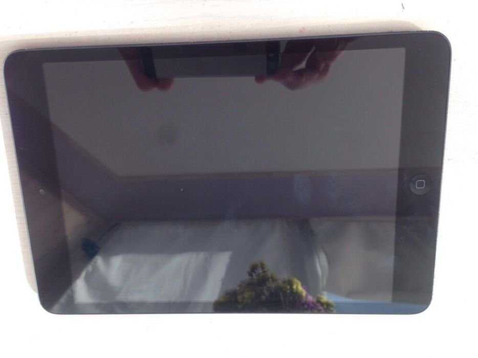 iPad mini 16 Gb wi-fi