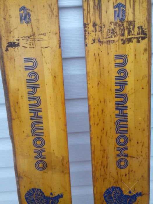 Лыжи для охоты
