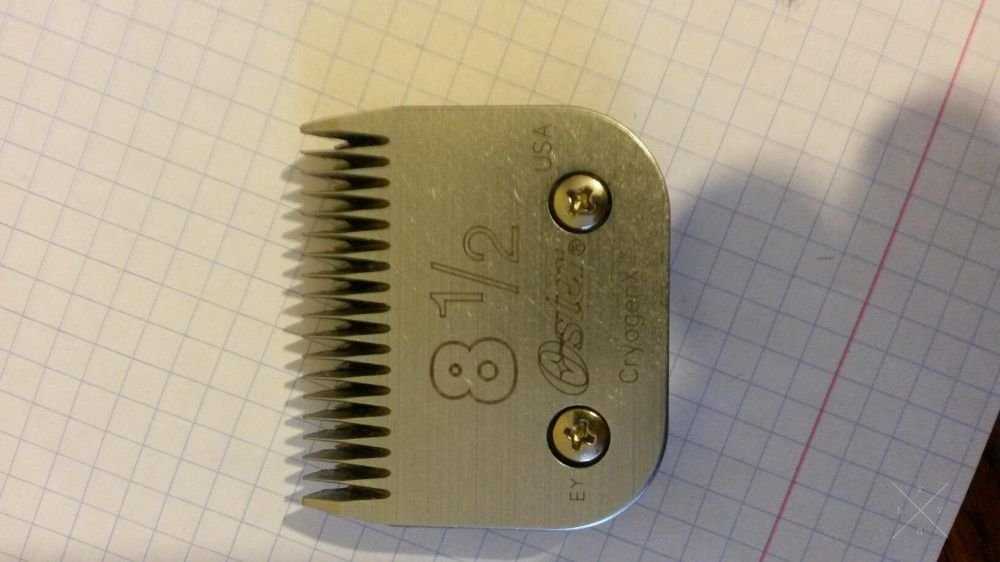 Oster GryogenX8 1/2
