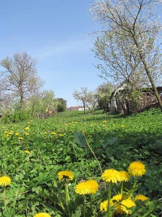 Ділянка під будівництво, 5 км від об'їзної Львова