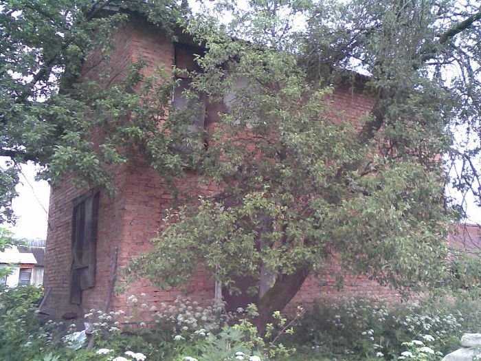 Продам будинок с.Дрогомишль,Яворівський рн.