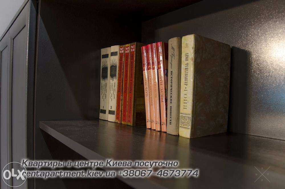 Однокомнатная квартира на ул. Прорезная в центре Киева посуточно