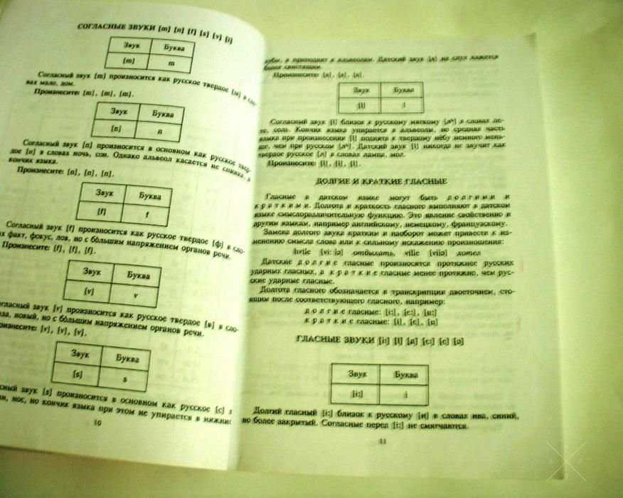 Учебник датского языка. Датский. В помощь школьнику, бизнесмену, турис