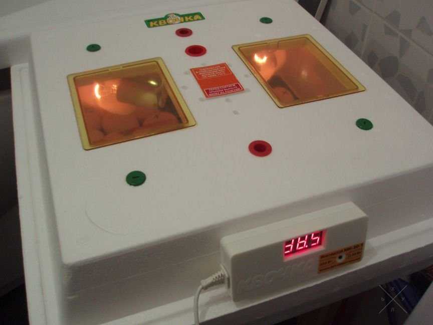 Инкубатор Квочка МИ-30-1ЭC ( переворот яиц с помощью наклона) ИМ-30-00