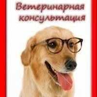 Ветеринарная помощь! Консультация! Все виды помощи!