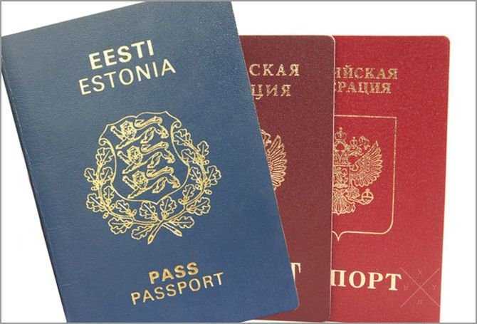 Услуги по оформлению паспорта ЕС