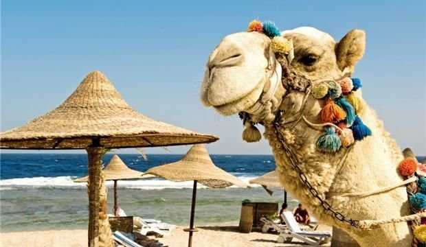 Горящие туры!! Самые выгодные предложение!