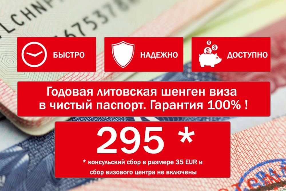 Годовая шенген виза в чистый паспорт 295 евро