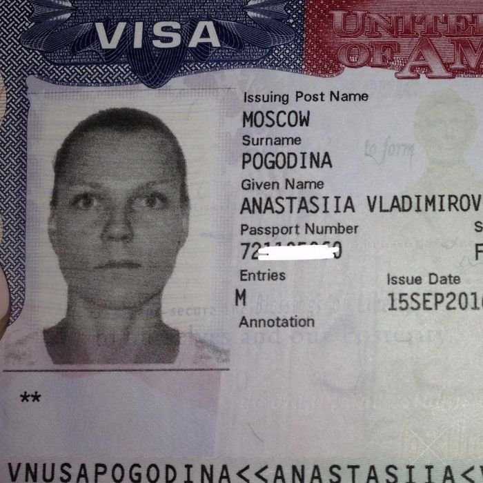 Оформление.Виза в Азию от 80$.Киев