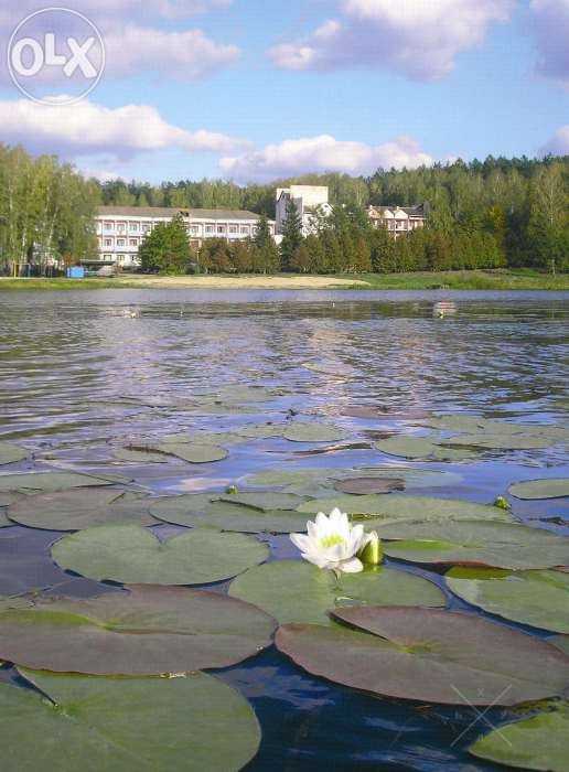 Новый год в гостях у Деда Мороза и Снегурочки