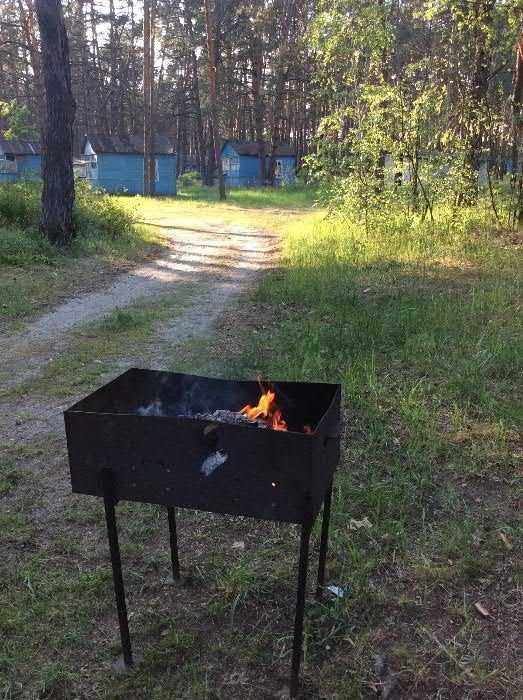 Отдых на Десне