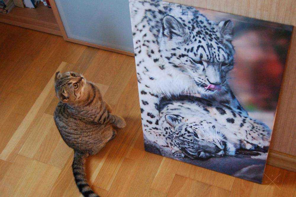 Печать Ваших фотографий на холсте