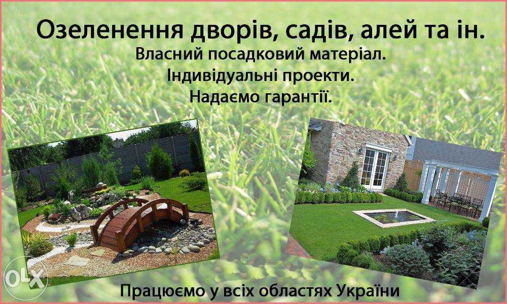 Посадка газону, декоративних кущів та дерев. (Озеленення дворів)