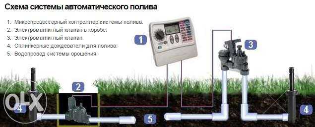 Автополив, озеленение, ландшафтные работы, рулонный газон