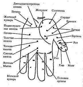 Лечение грыжи позвоночника,Методы лечения,Су Джок,Массаж,Подтяжка лица