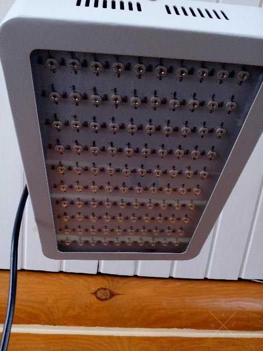 Светодиодная фитопанель для освещения растений 300W (2 спектра: синий/