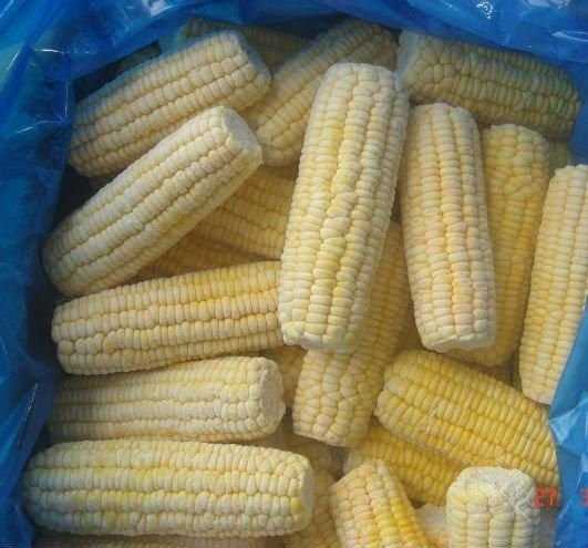 Продам кукурузу сладкую, замороженную в початках (качанах) 10 кг/ящ