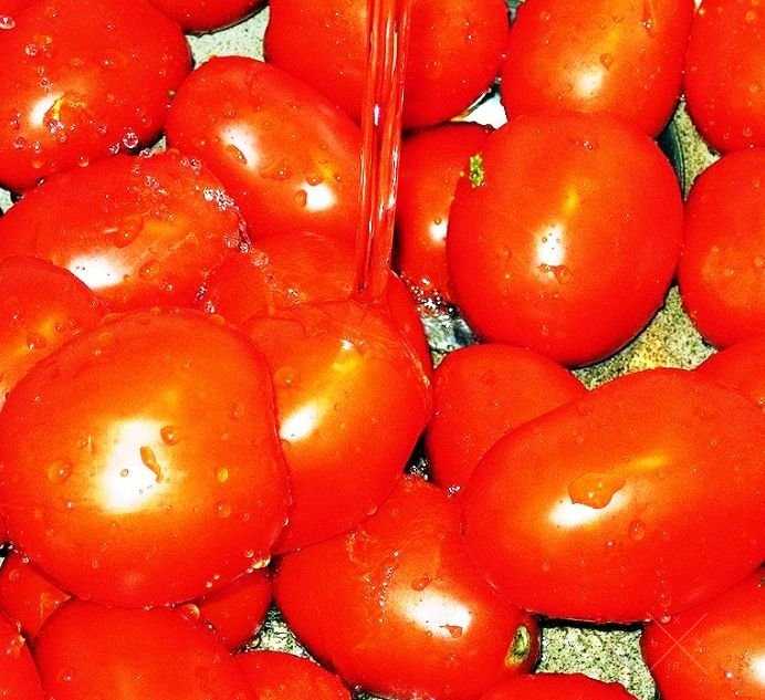 Продам соления