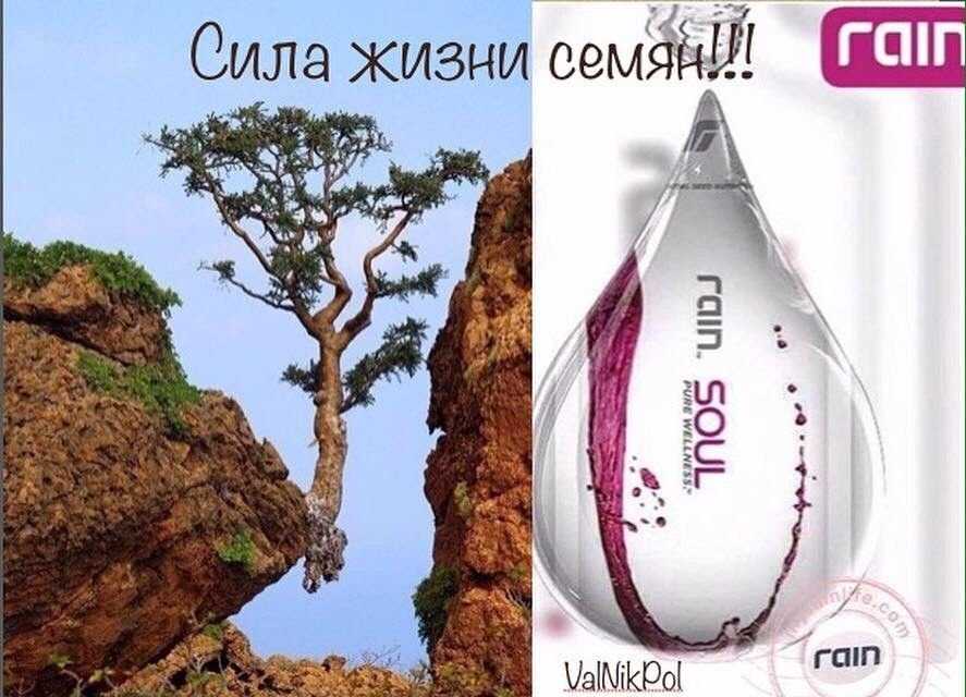 натуральные витамины rain core rain soul