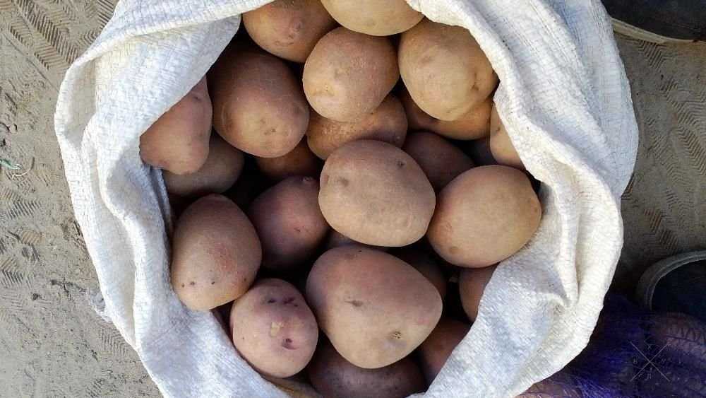 Продам Картошку з доставкой картофель