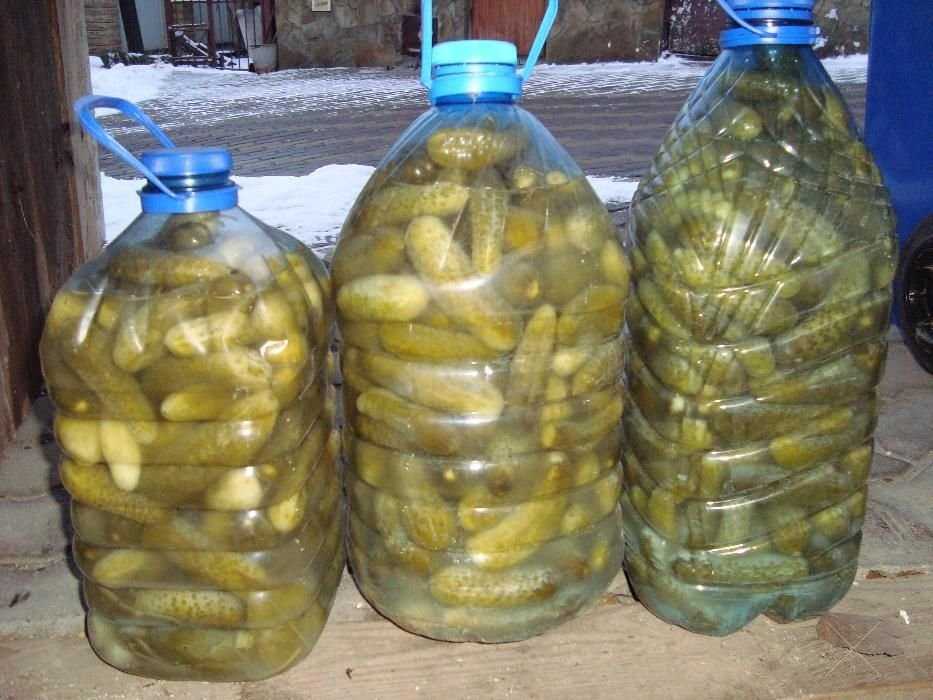 Продаю соленые огурцы