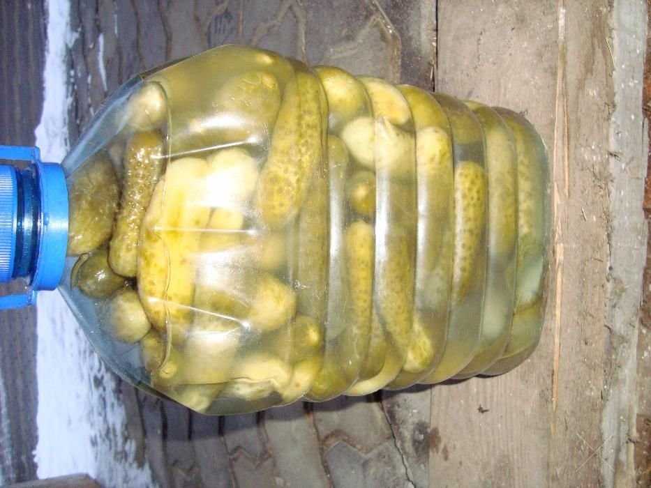 Продаю соленые огурцы