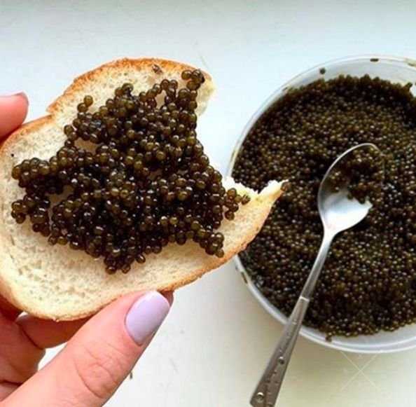 Дикая черная осетровая икра CAVIAR