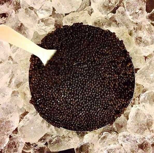 Дикая черная осетровая икра CAVIAR