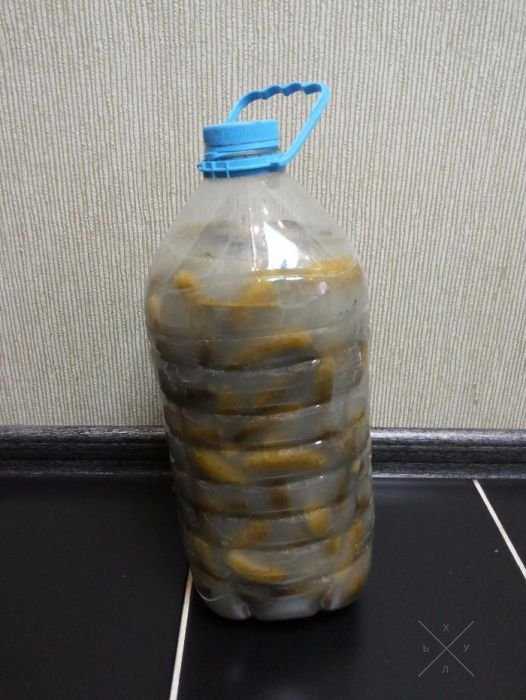 Огурчики бочковые