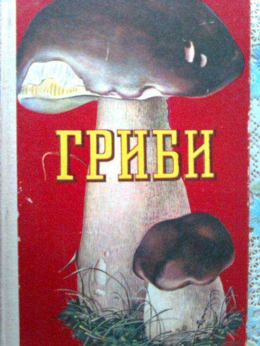 Гриби