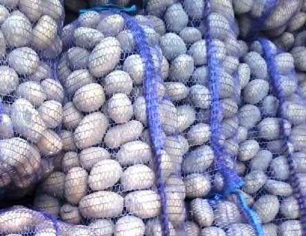 Картошка, морковка, буряк продам