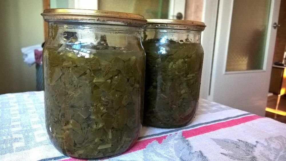 Домашний консервированный щавель