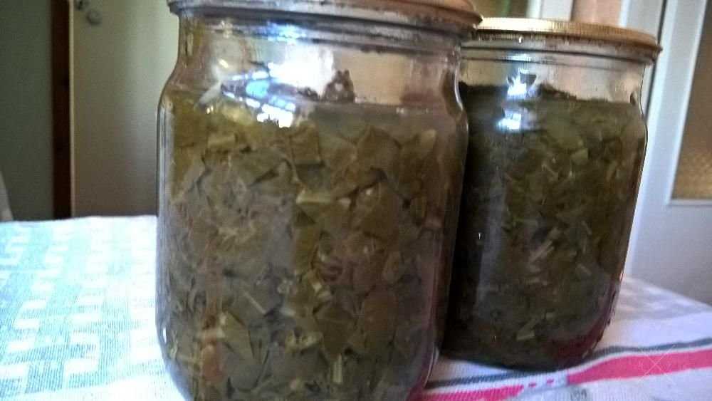 Домашний консервированный щавель