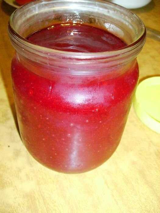 Джем с Калины ( свежая ) Домашний
