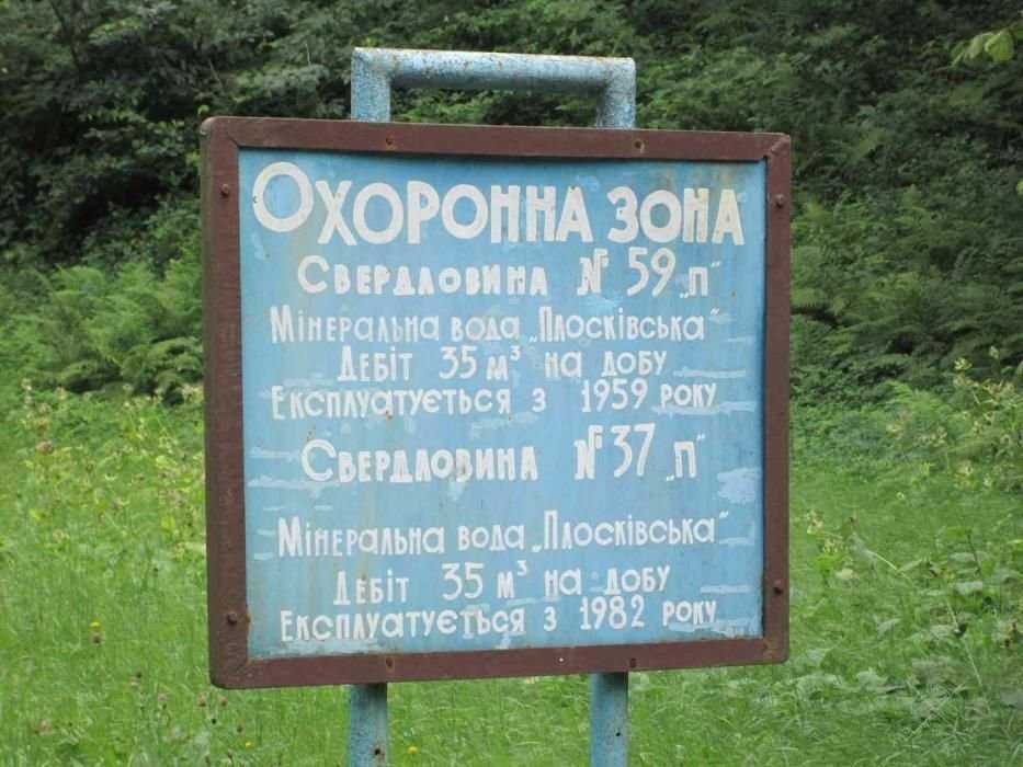 Плоскивская тип Боржоми минеральная вода из источника живая, эко, нат.