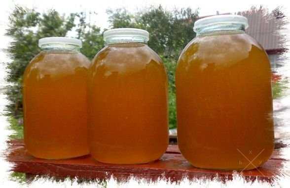 Продам подсолнечный мед недорого