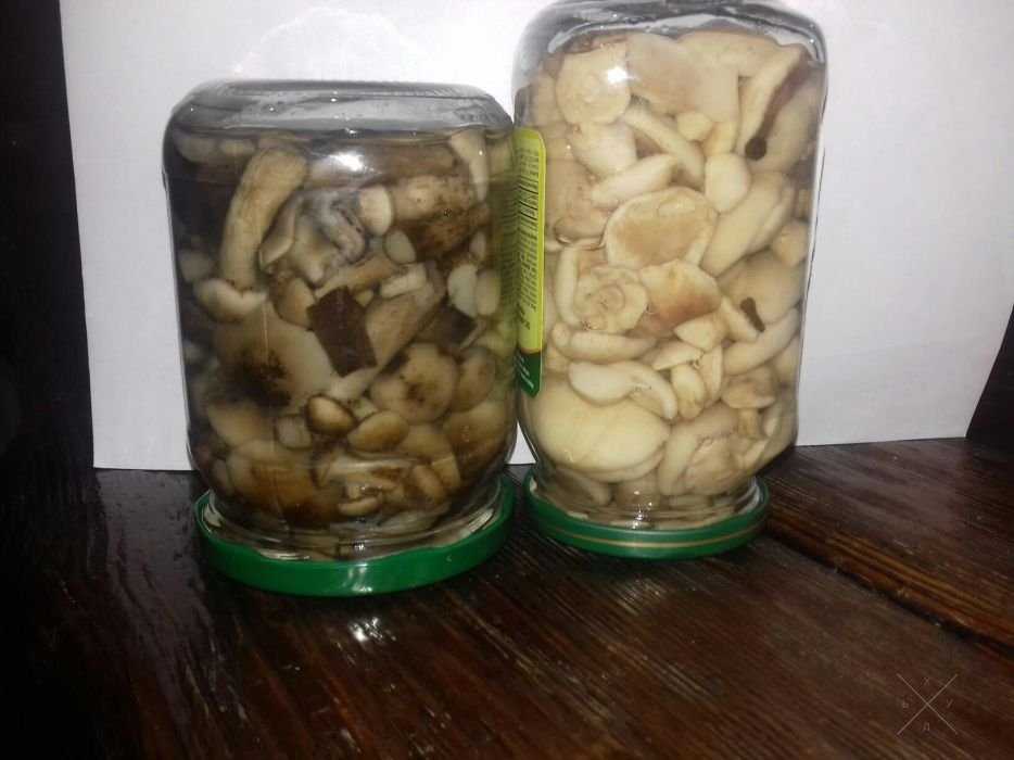 Продам грибы опята консервированные (маринованые) и маслята