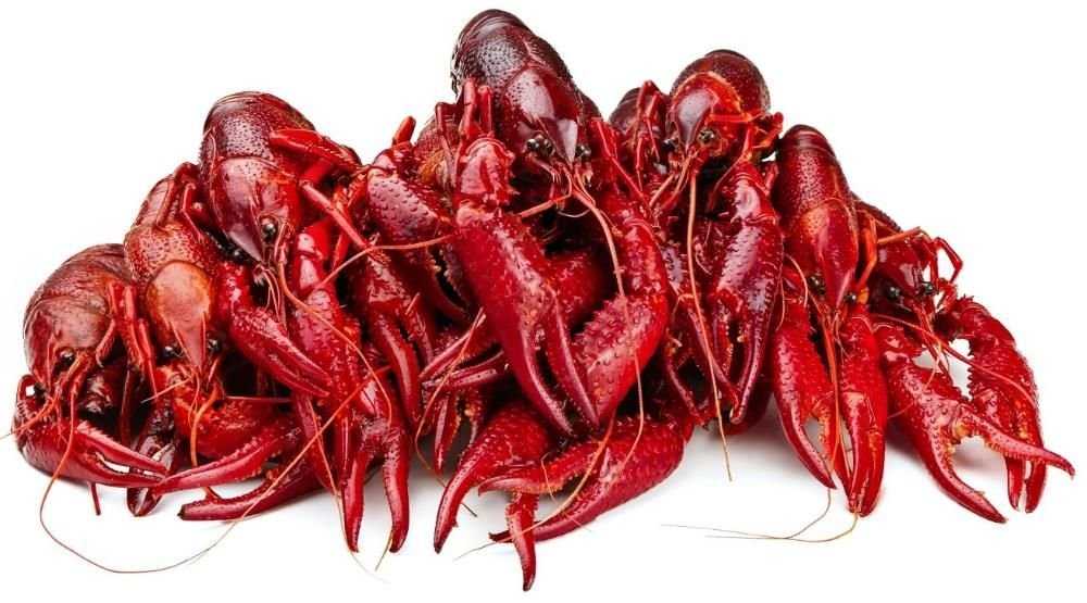 Раки живые и вареные