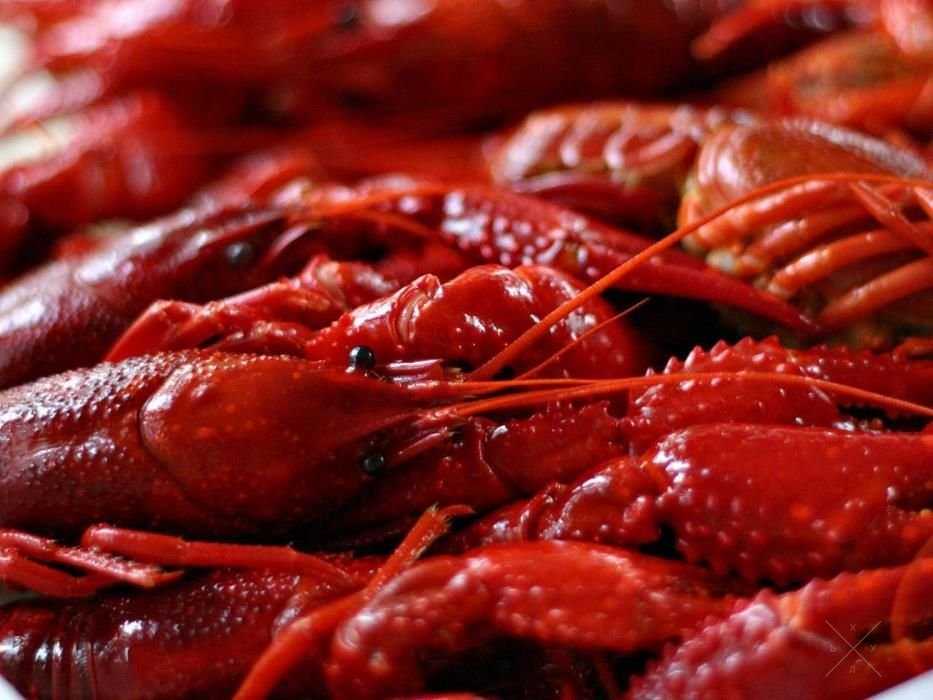Раки живые и вареные