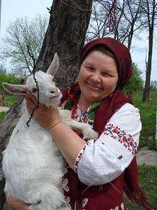 козье молоко самое органическое и целебное высшего качества!