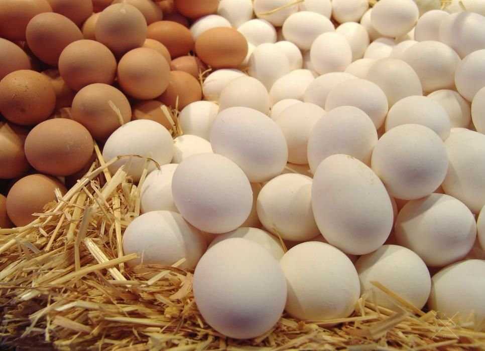 Продам яйцо куриное оптом и в розницу от птицефабрики